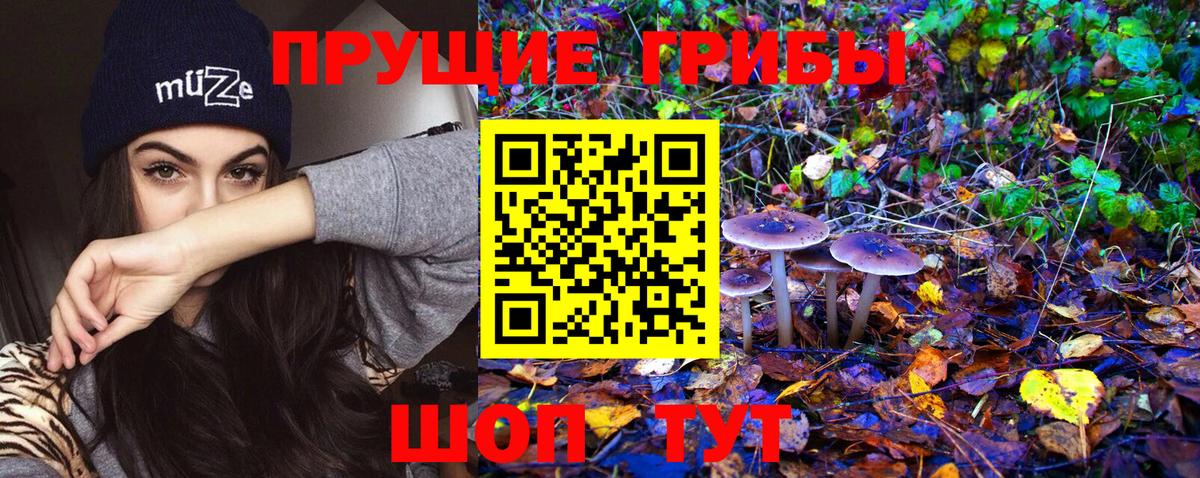 Галлюциногенные грибы Magic Shrooms  хочу наркоту  Фролово  Вход с VPN 
