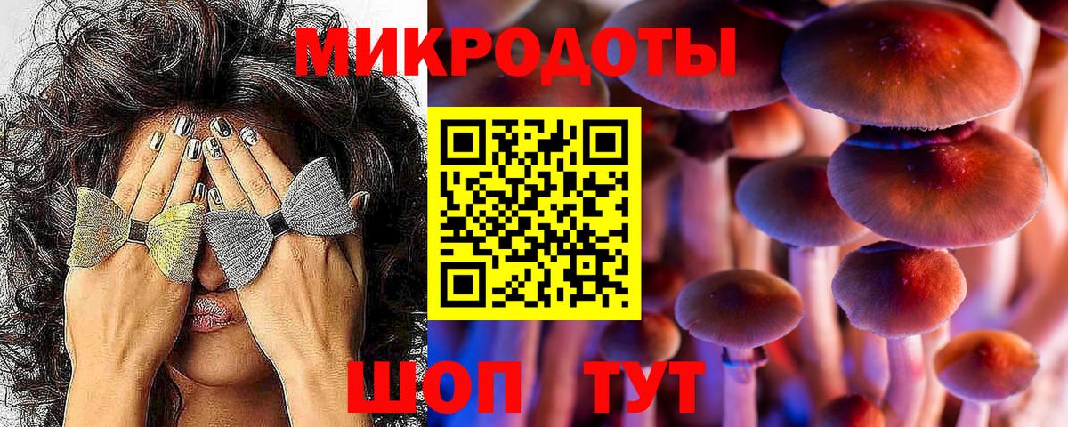 Галлюциногенные грибы Psilocybine cubensis Фролово